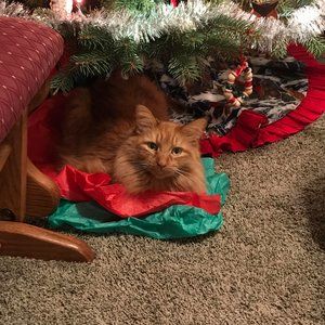 Meet your Posher, Carly